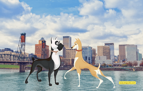 Dog-Friendly Vacation Destinations in Portland, Oregon